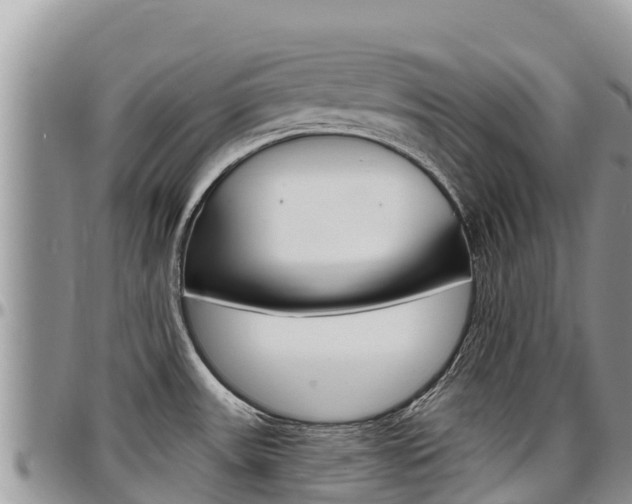 X0000097291531200802151047