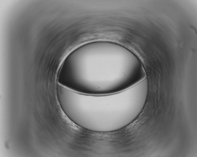 X0000097291532200802151047