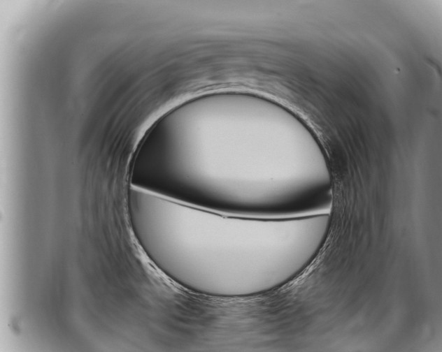X0000097291534200802151047
