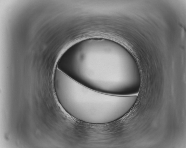 X0000097291536200802151047