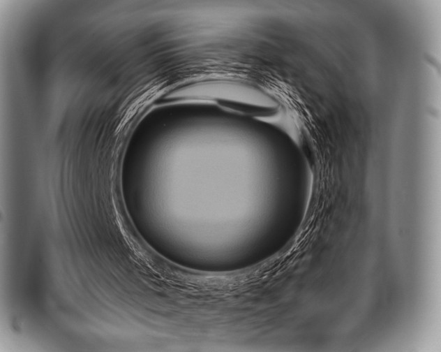X0000097290001200802151426