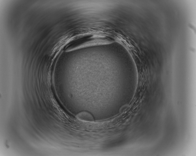 X0000097290002200802151426