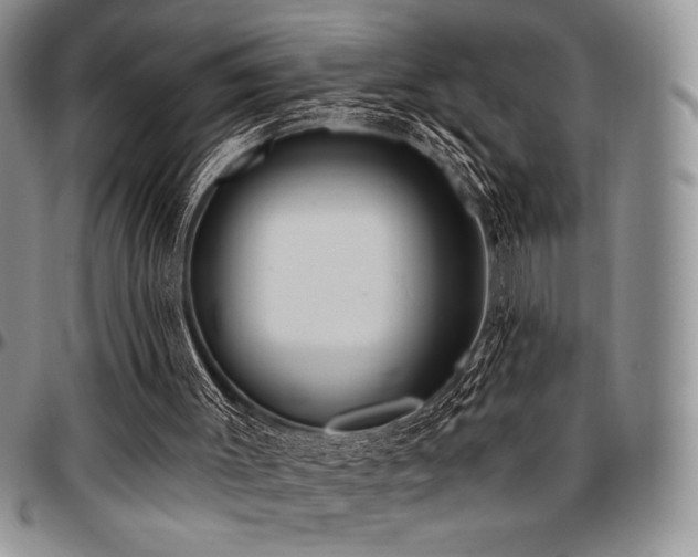 X0000097290003200802151426