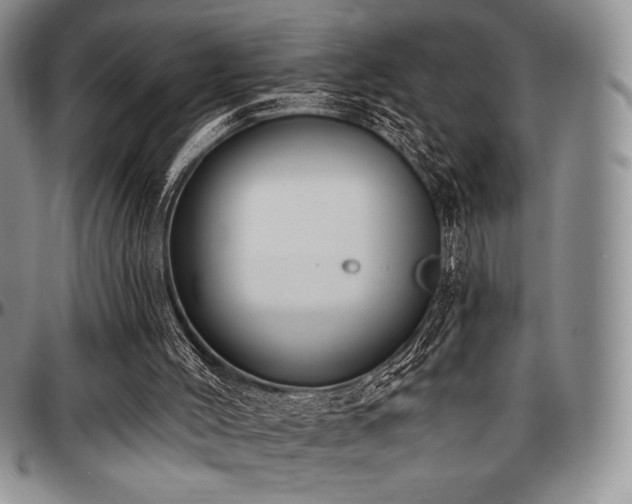 X0000097290004200802151426