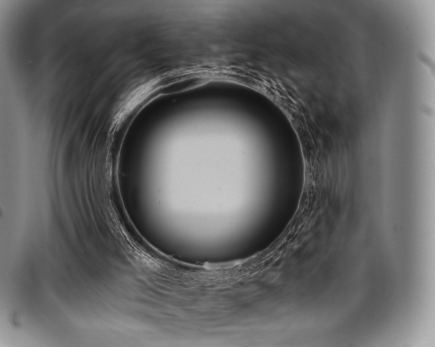 X0000097290005200802151426