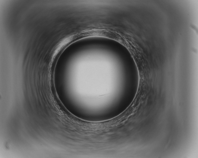 X0000097290006200802151426