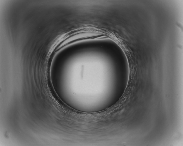 X0000097290007200802151426