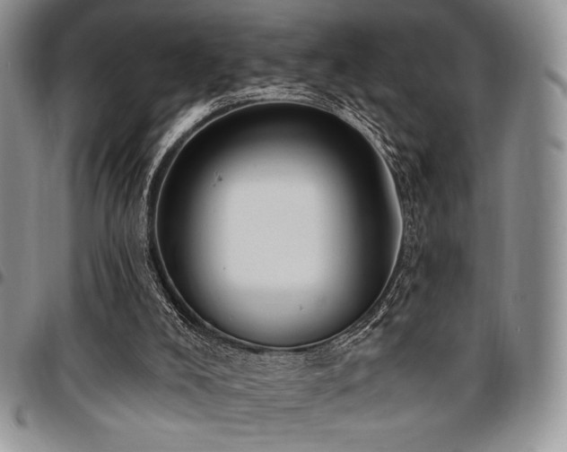 X0000097290008200802151426