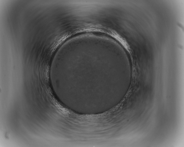 X0000097290009200802151426