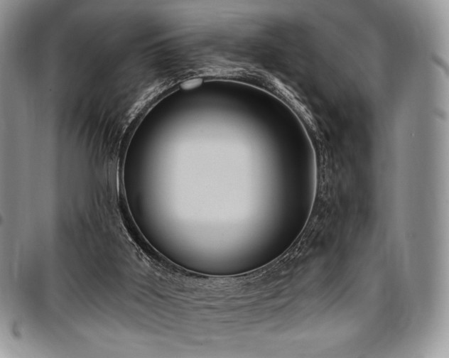 X0000097290011200802151426