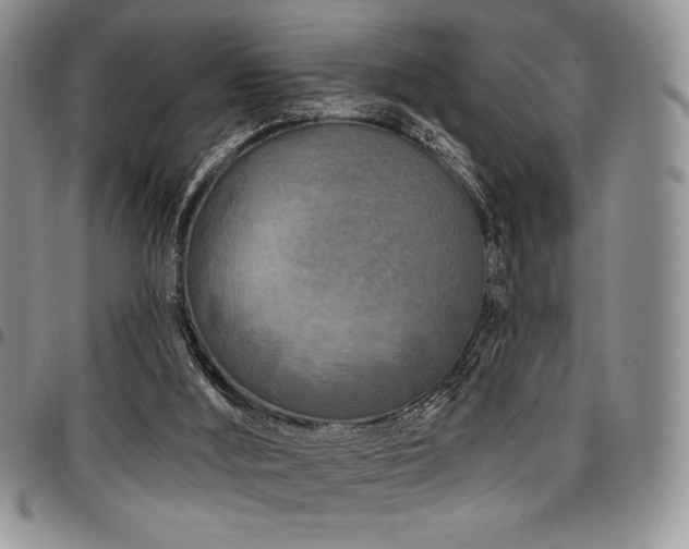 X0000097290012200802151426