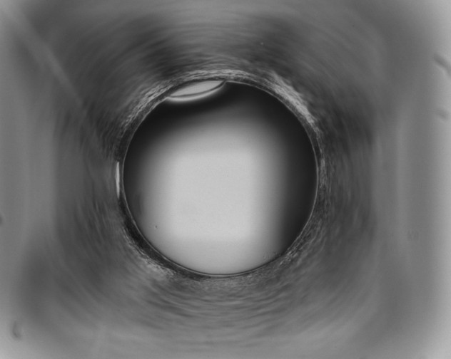 X0000097290013200802151426