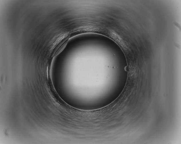 X0000097290014200802151426