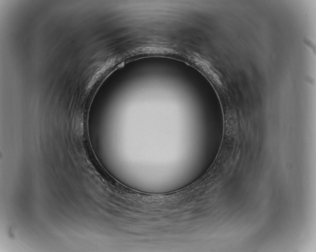 X0000097290015200802151426
