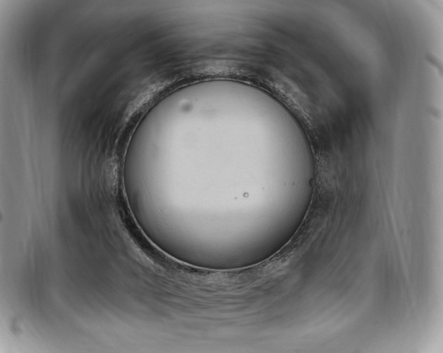 X0000097290016200802151426