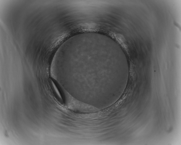 X0000097290017200802151426