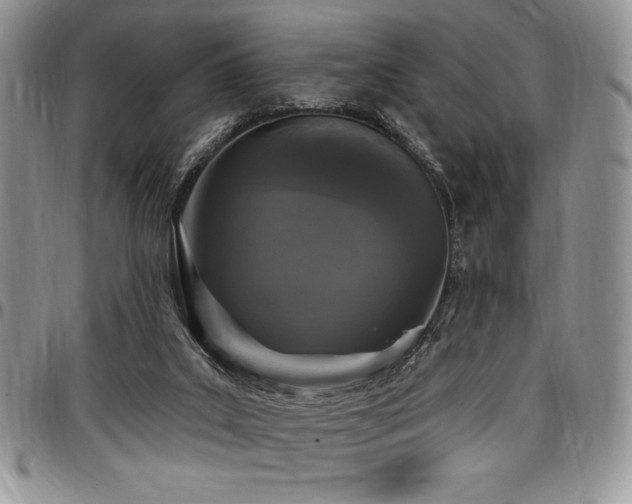 X0000097290019200802151426