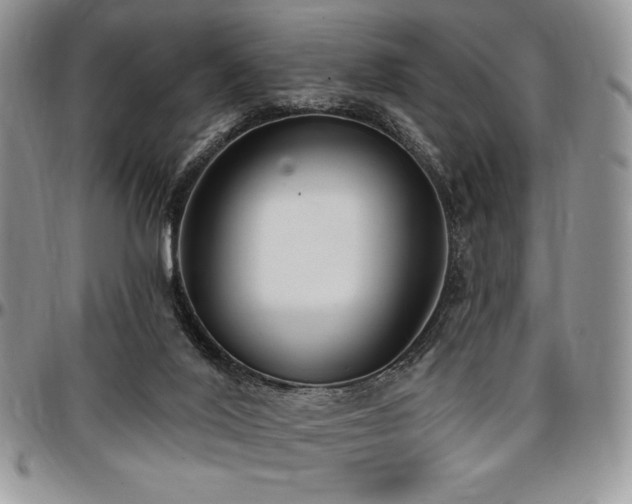X0000097290020200802151426