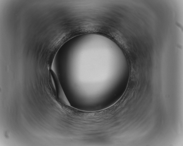 X0000097290021200802151426