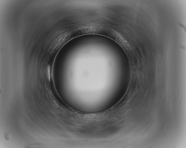 X0000097290022200802151426