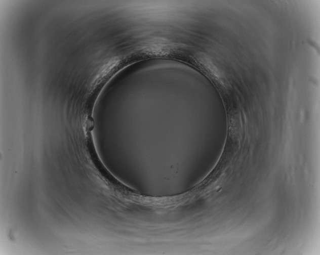X0000097290023200802151426
