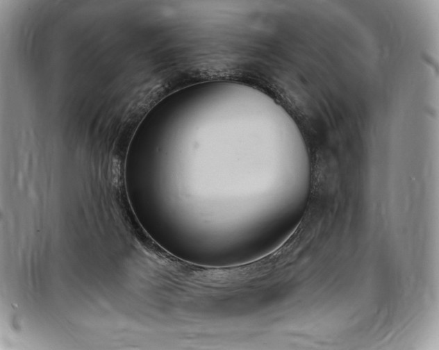 X0000097290025200802151426