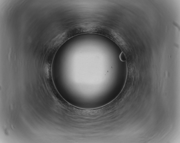 X0000097290026200802151426