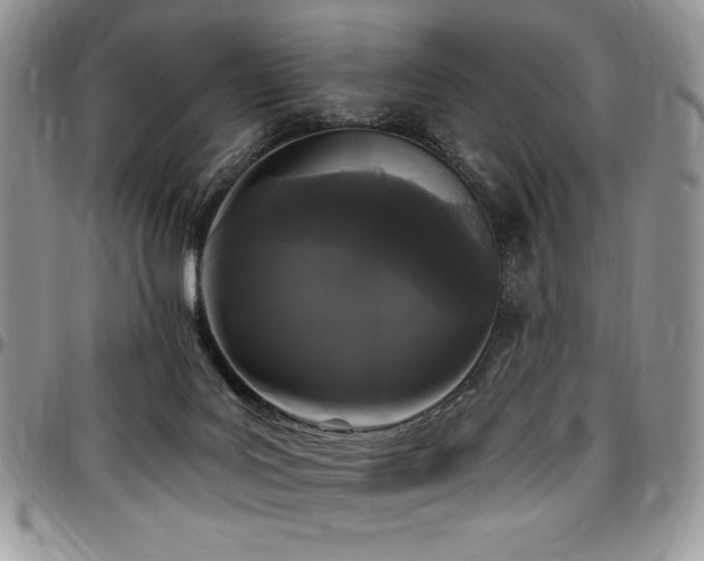 X0000097290027200802151426
