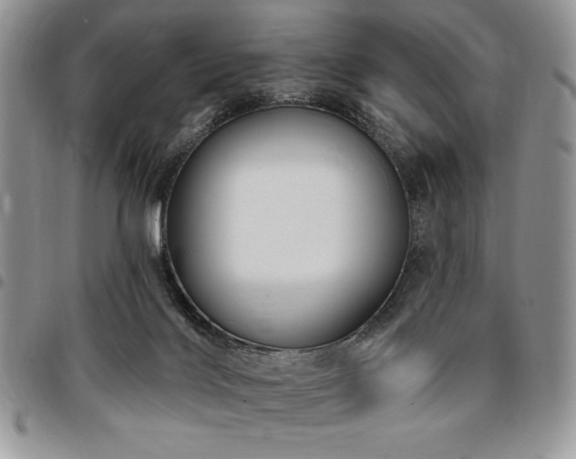 X0000097290028200802151426