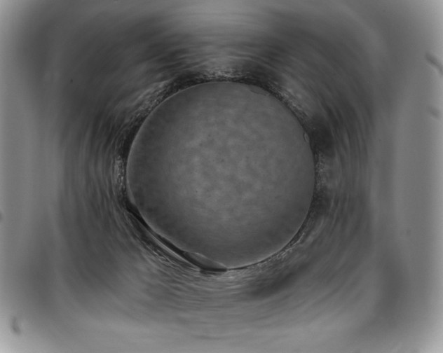 X0000097290029200802151426