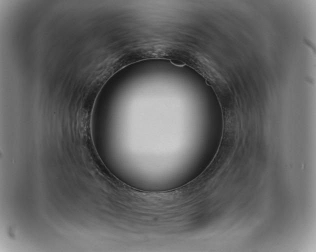 X0000097290030200802151426