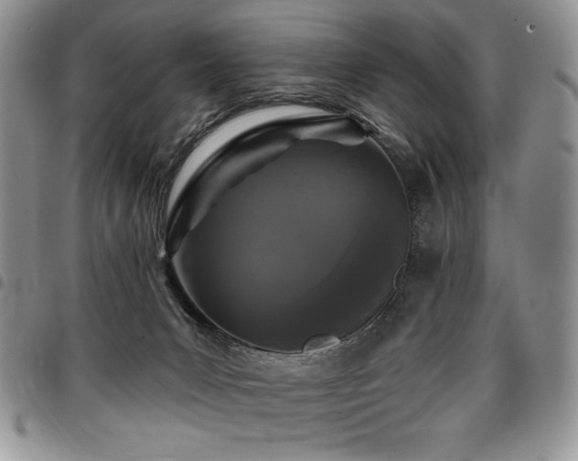 X0000097290031200802151426