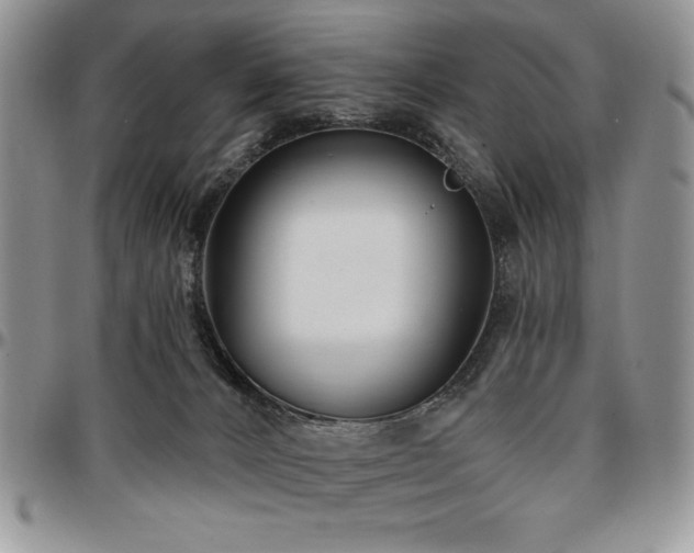 X0000097290032200802151426
