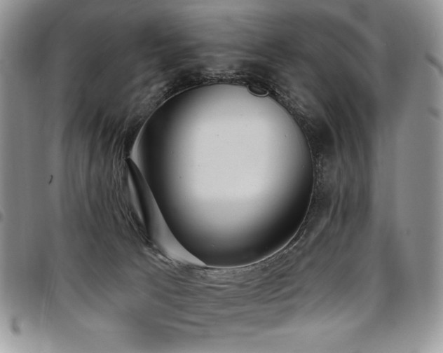 X0000097290033200802151426