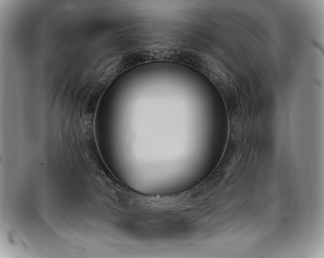 X0000097290034200802151426