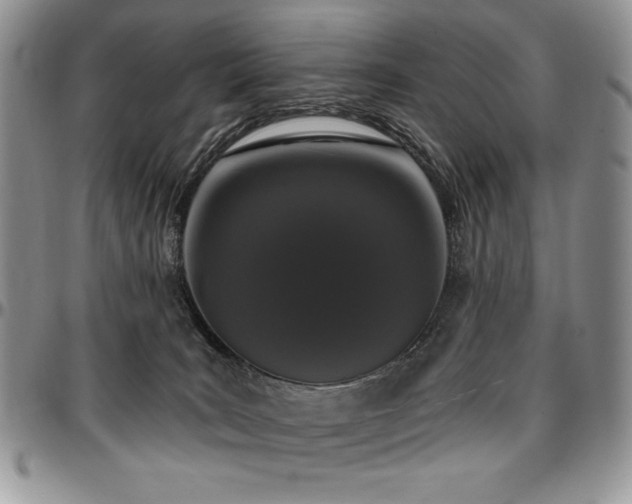 X0000097290035200802151426