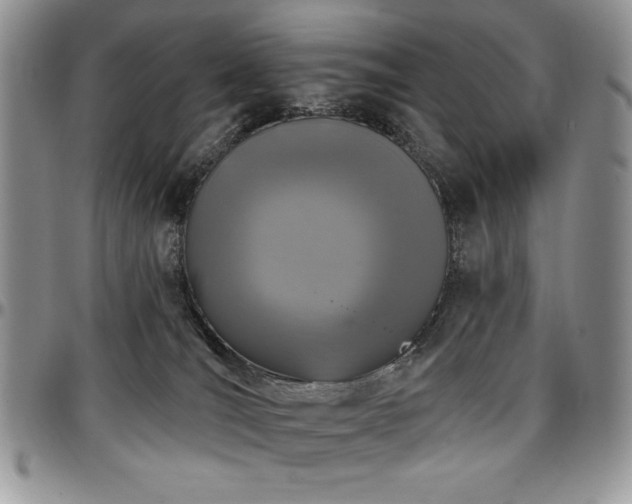 X0000097290036200802151426