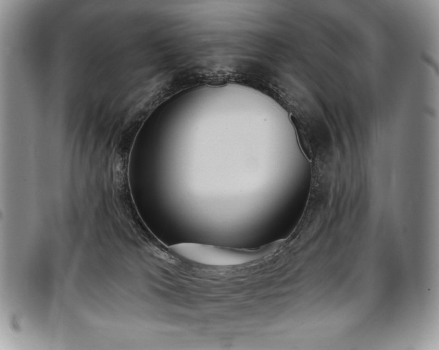 X0000097290037200802151425