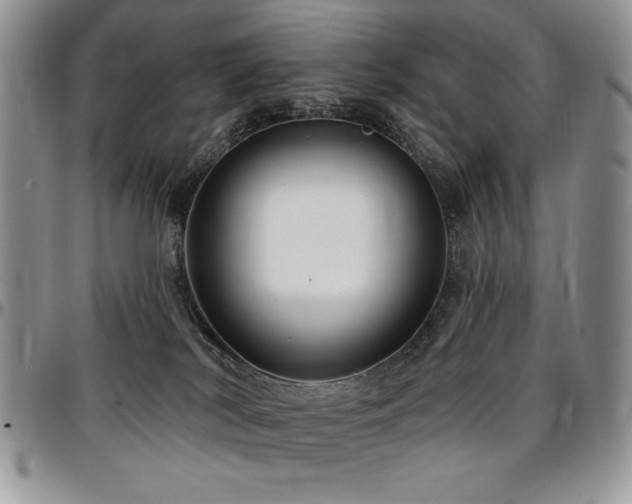 X0000097290038200802151425