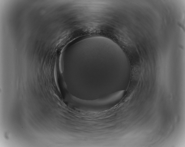 X0000097290039200802151425