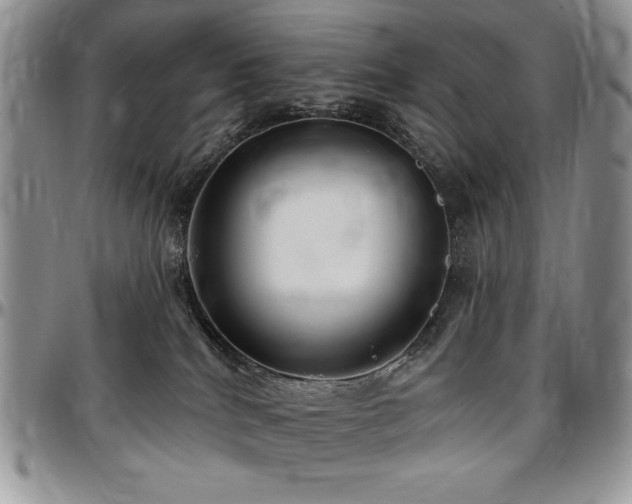 X0000097290040200802151425
