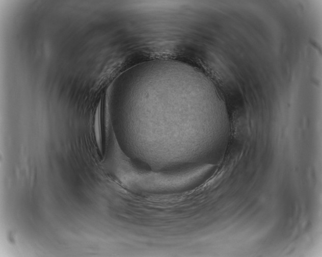 X0000097290041200802151425