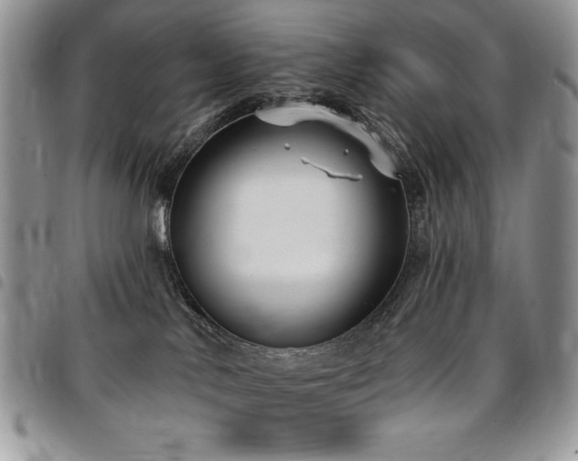 X0000097290042200802151425