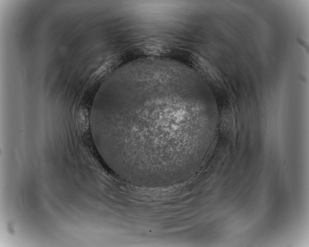 X0000097290043200802151425