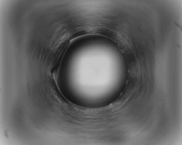X0000097290044200802151425