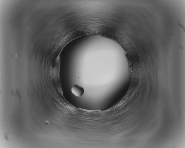 X0000097290045200802151425