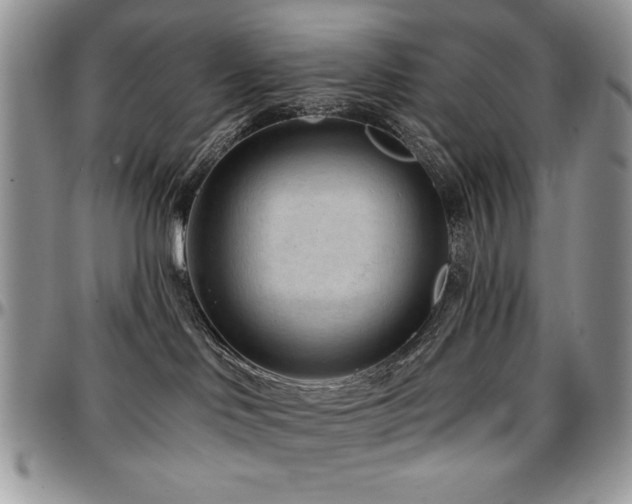 X0000097290046200802151425