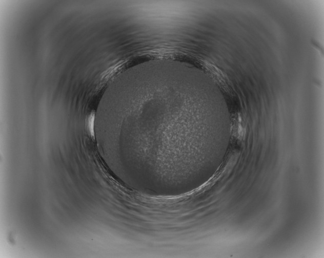 X0000097290047200802151425