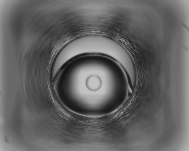 X0000097290049200802151425