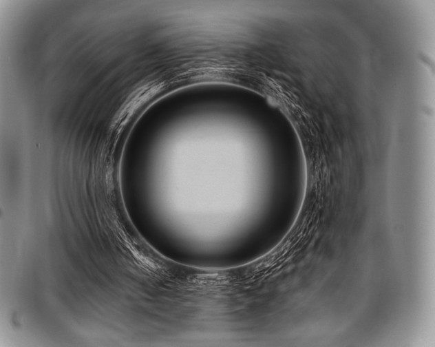 X0000097290050200802151425